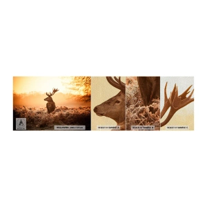 Fototapeten Muster Premium Sand - Herr im eigenen Land - Landschaft, Reh, Tiere - 100x30 cm