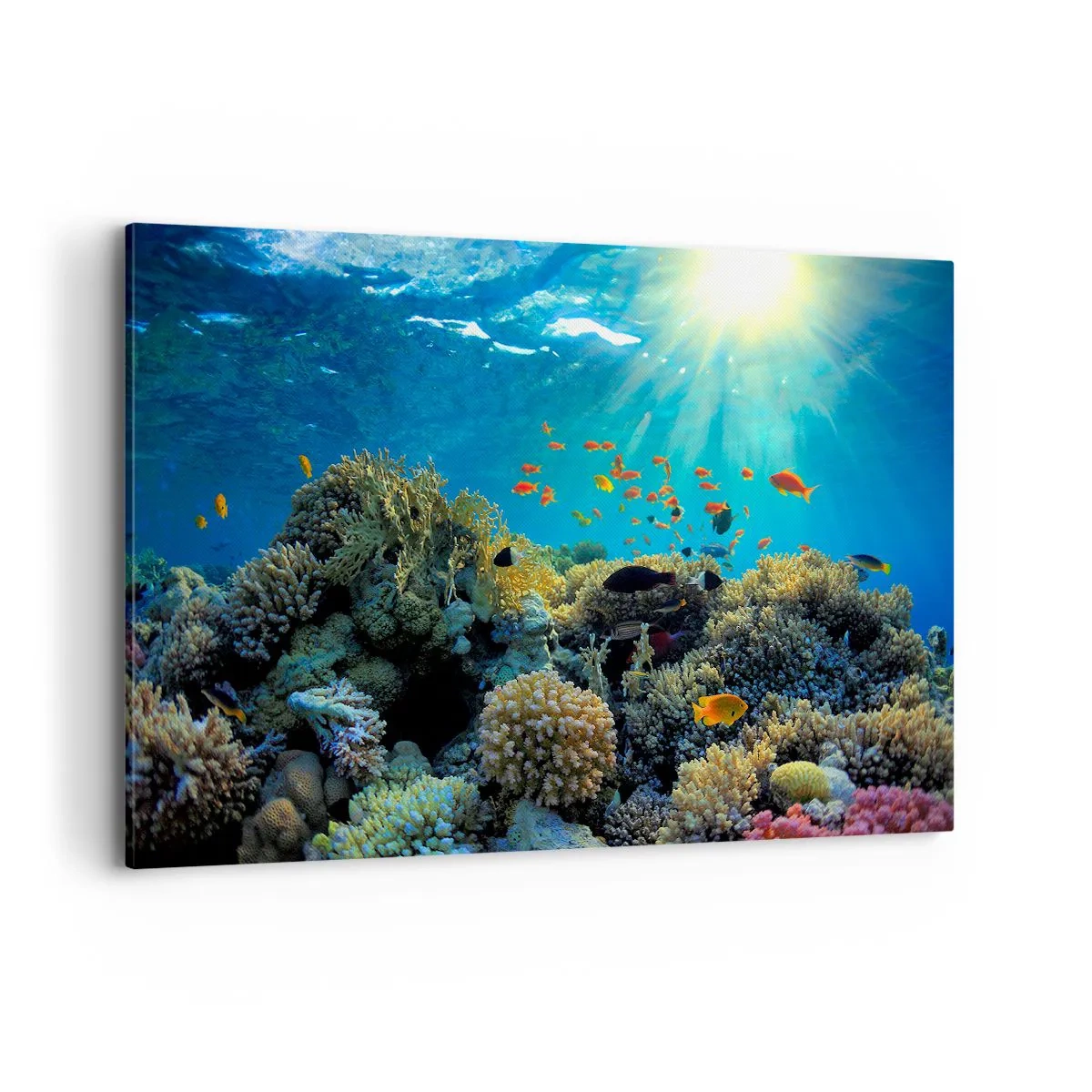 Bild auf Leinwand - Leinwandbild - Korallenriff mit Fischen in den Sonnenstrahlen unter Wasser - 120x80cm - Unterwasserschätze - Moderne Wanddekoration für Wohnzimmer und Schlafzimmer ARTTOR