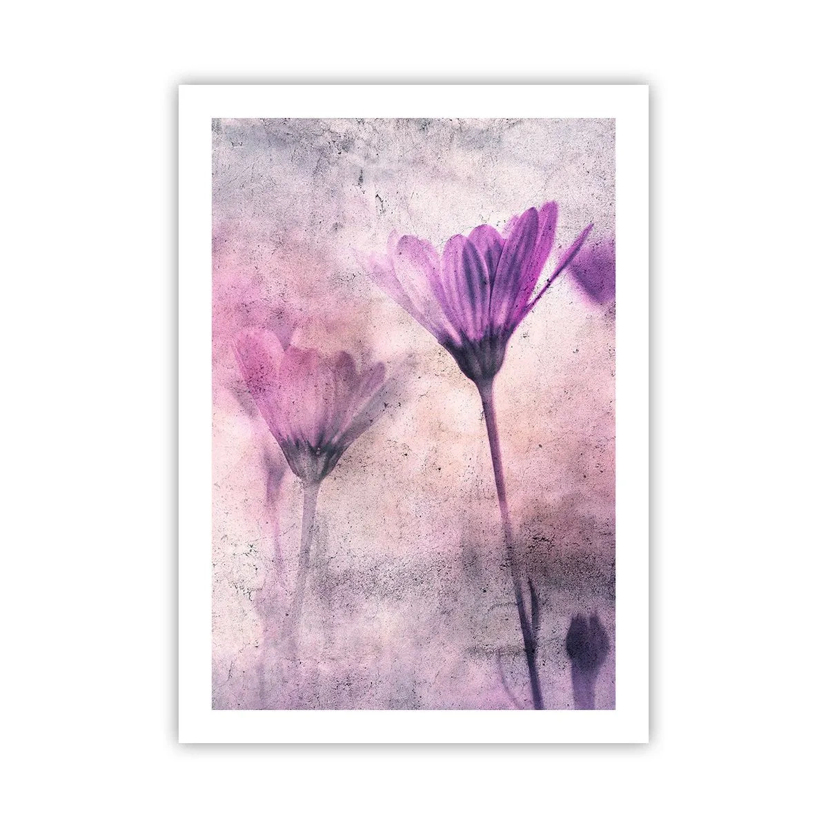 Poster - Zarte Blüten in Rosa- und Lilatönen auf hellem Untergrund - 50x70cm - Ein Blumentraum - Moderne Wanddekoration für Wohnzimmer und Schlafzimmer ARTTOR