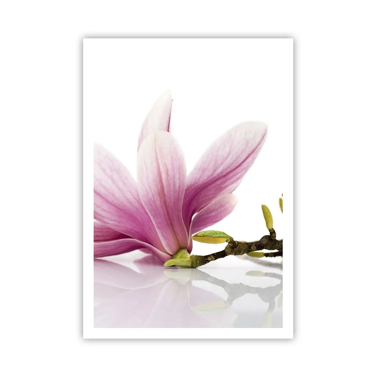Poster - Zart wie ein Frühlingswind - 70x100 cm