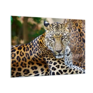 Glasbild - Bild auf glas - Ein wilder Leopard ruht im Grünen - 100x70cm - Wild und ruhig - Moderne Wanddekoration für Wohnzimmer und Schlafzimmer ARTTOR