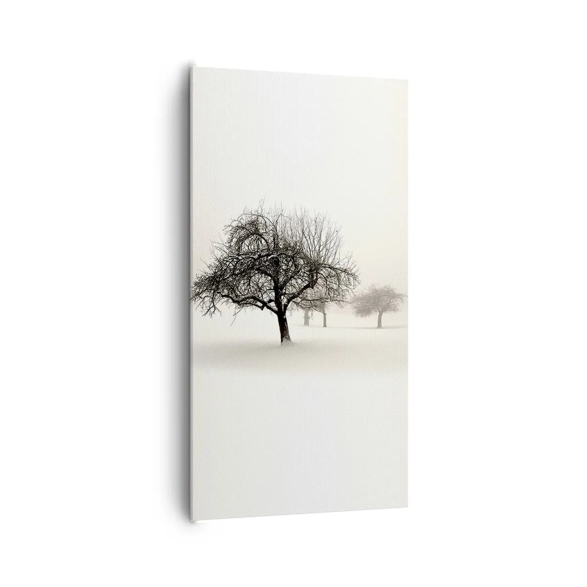 Bild auf Leinwand - Leinwandbild - Winterschlaf - 65x120 cm