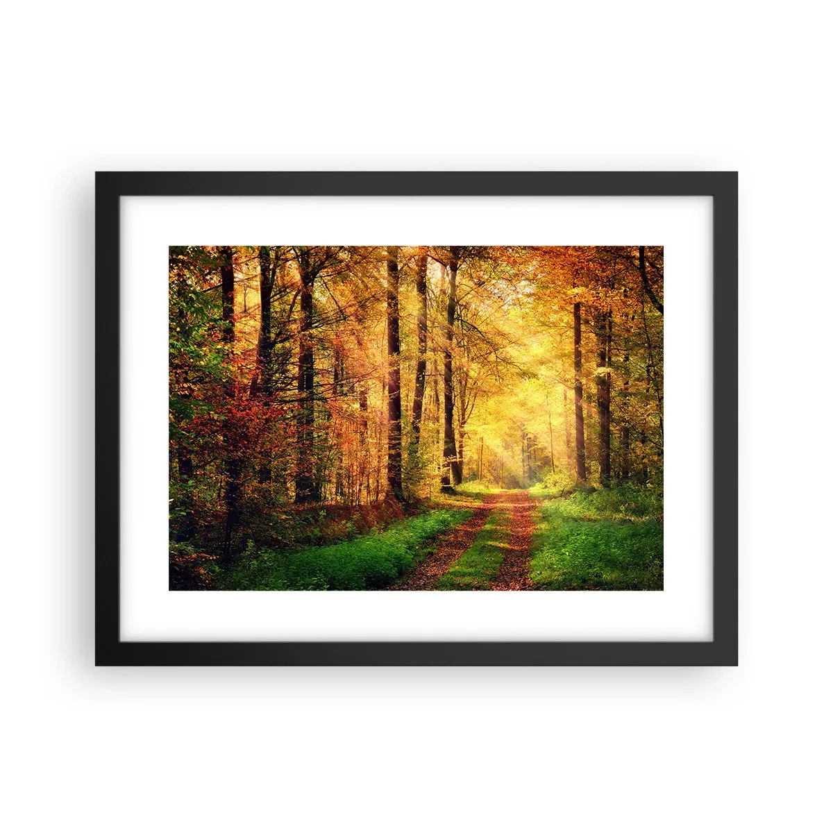 Poster in einem schwarzem Rahmen - Waldgoldene Stille - 40x30 cm