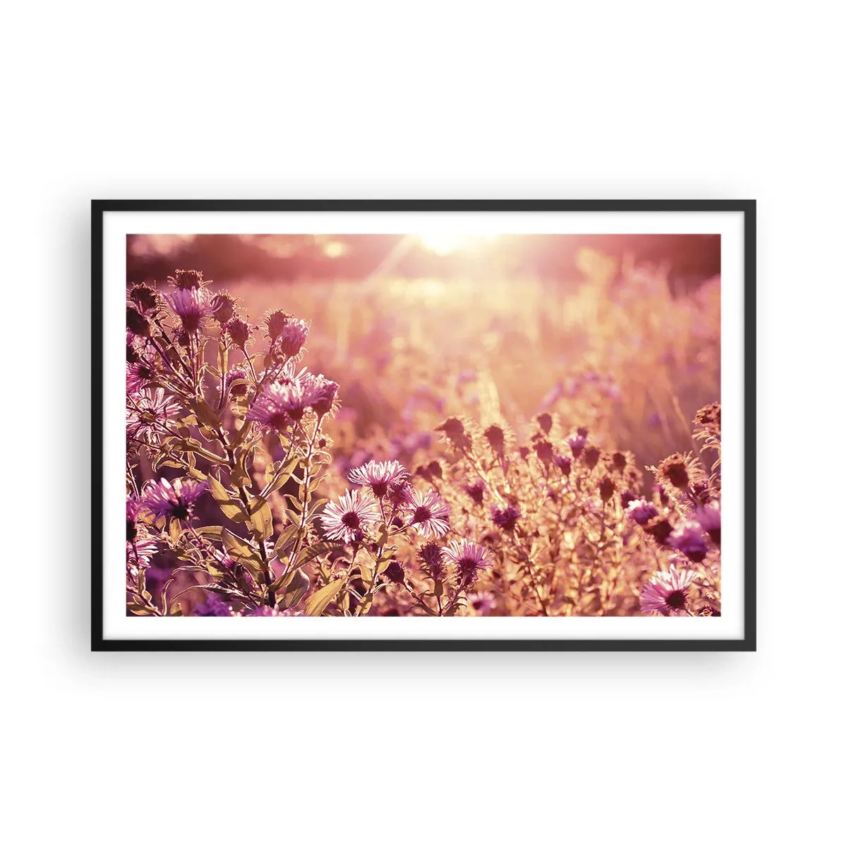 Poster in einem schwarzem Rahmen - Bevor der Sommer vorbei ist - 91x61 cm