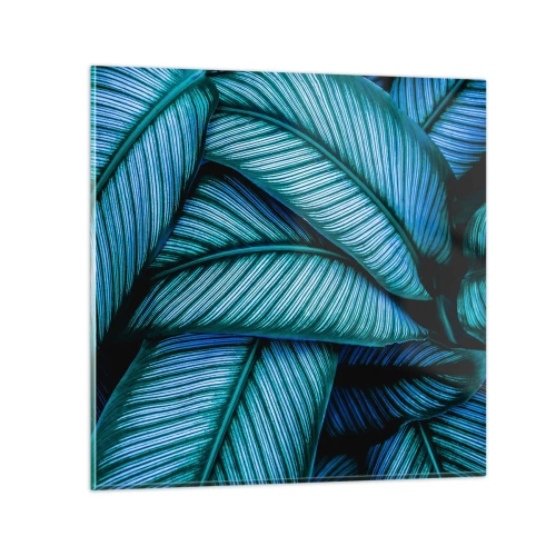 Glasbild - Bild auf glas - Lebenslinien - 30x30 cm