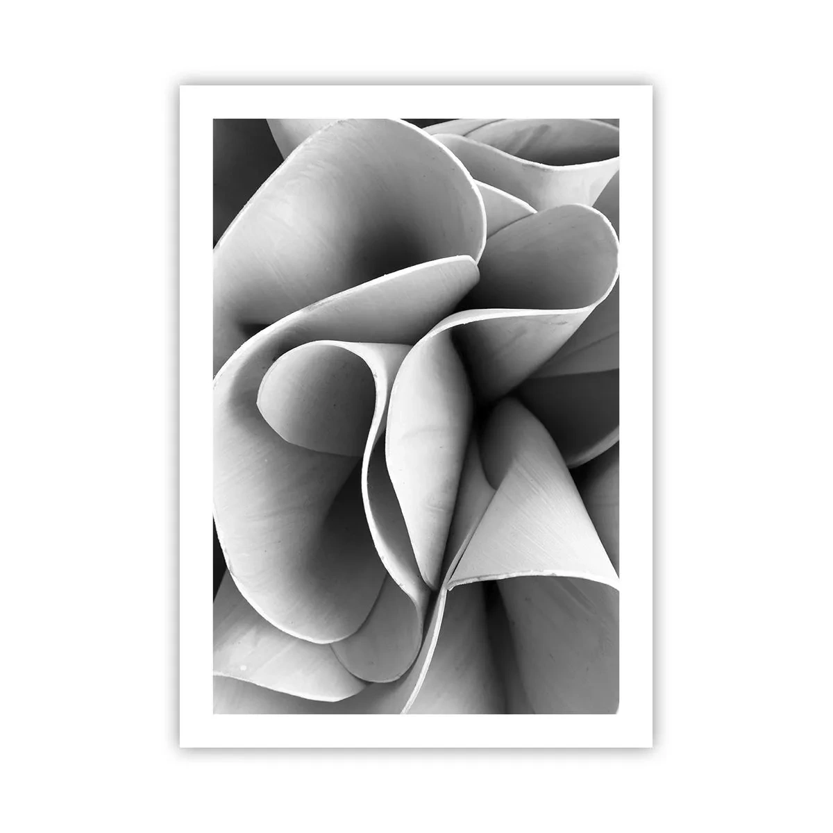 Poster - Abstrakte Blütenblätter in Grautönen - 50x70cm - Es passiert im Weltraum - Moderne Wanddekoration für Wohnzimmer und Schlafzimmer ARTTOR