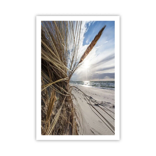 Poster - Ein Treffen der Elemente der Natur - 61x91 cm