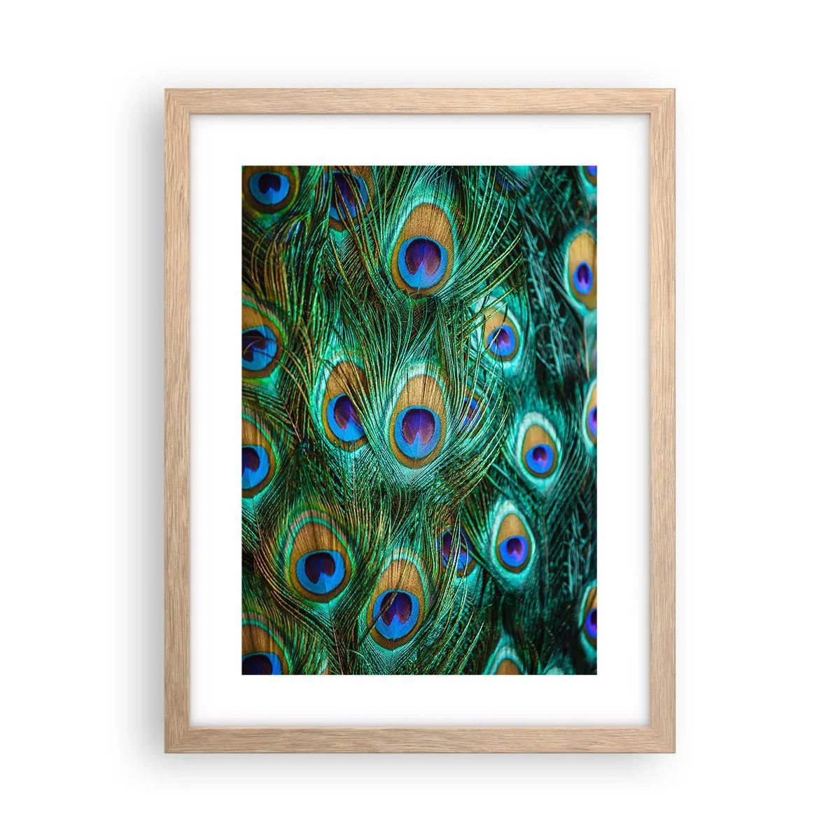 Poster in einem Rahmen aus heller Eiche - Ein Blick mit Pfauenaugen - 30x40 cm