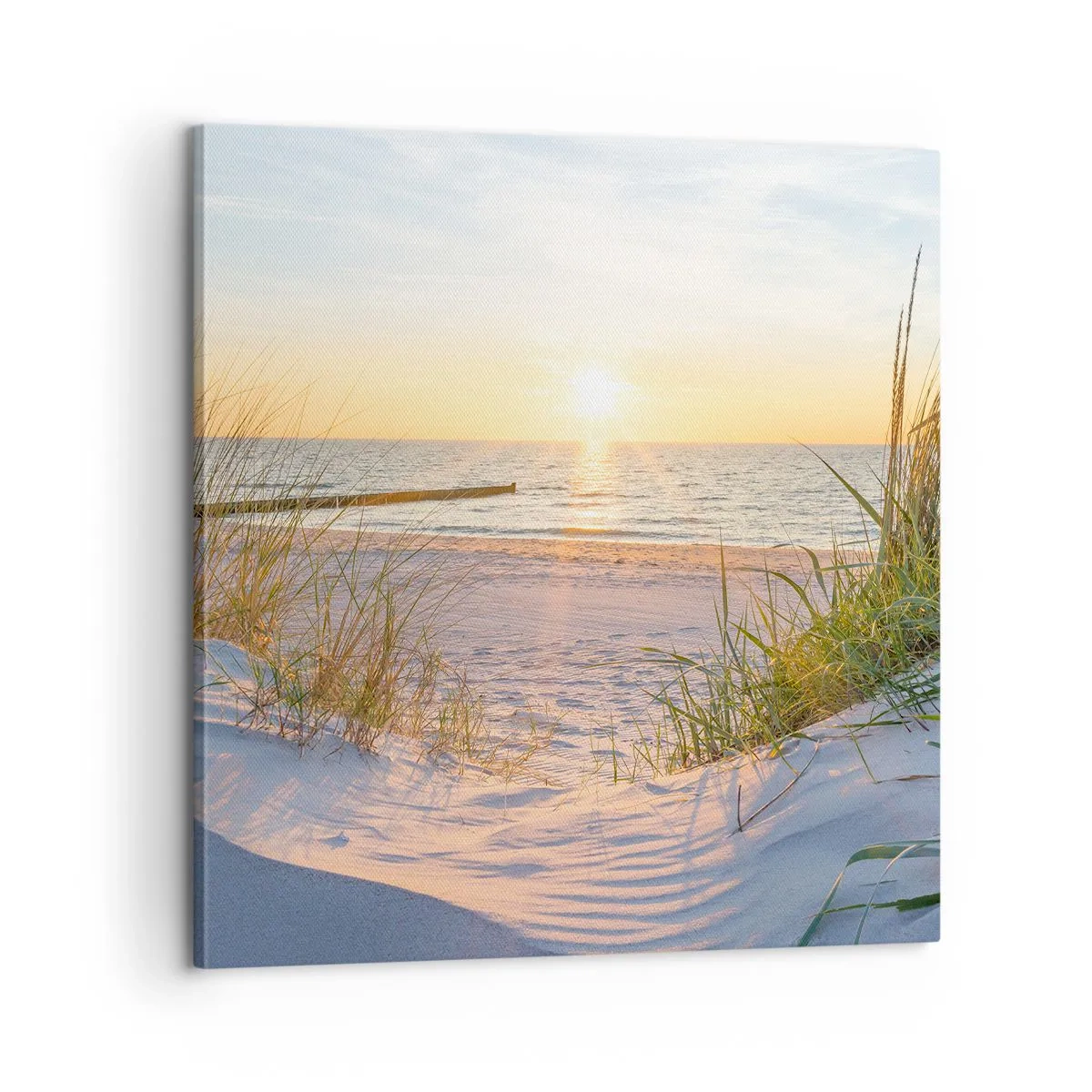 Bild auf Leinwand - Leinwandbild - Das Rauschen des Meeres, der Gesang der Vögel, ein wilder Strand im Gras ... - 60x60 cm