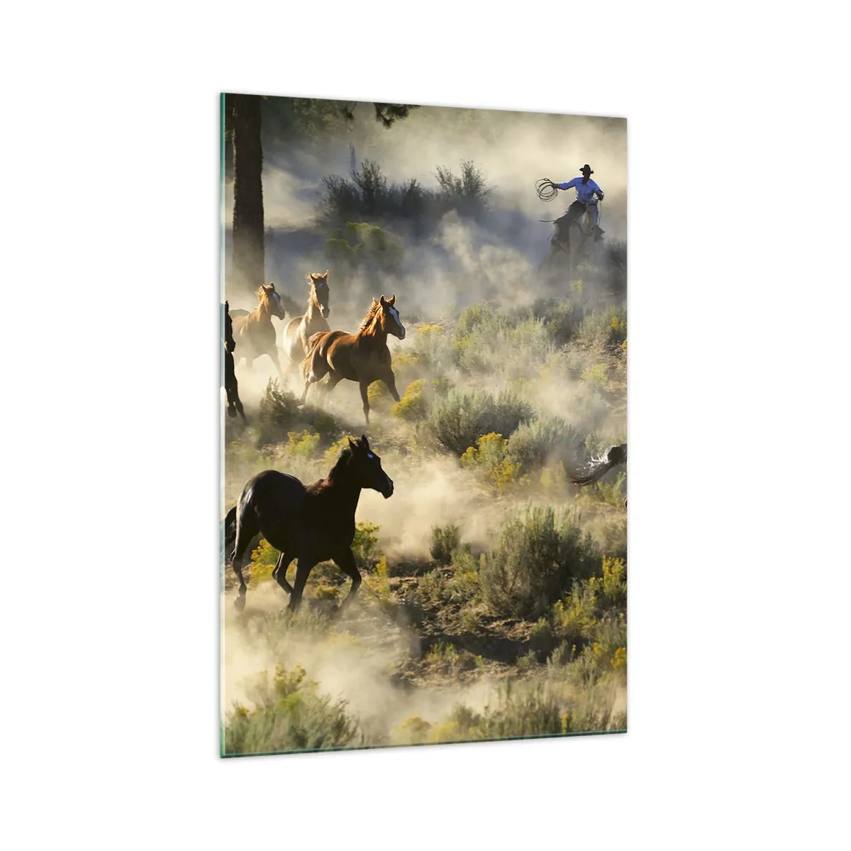 Glasbild - Bild auf glas - Eine Herde wilder Pferde galoppiert durch Staub und Vegetation - 70x100cm - Rivalität – Freiheit oder männliche Stärke? - Moderne Wanddekoration für Wohnzimmer und Schlafzimmer ARTTOR