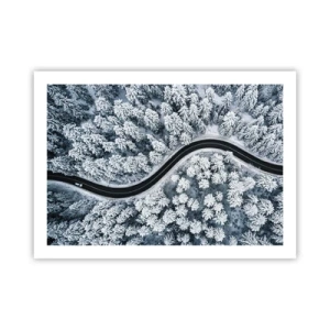 Poster - Durch den Winterwald - 70x50 cm