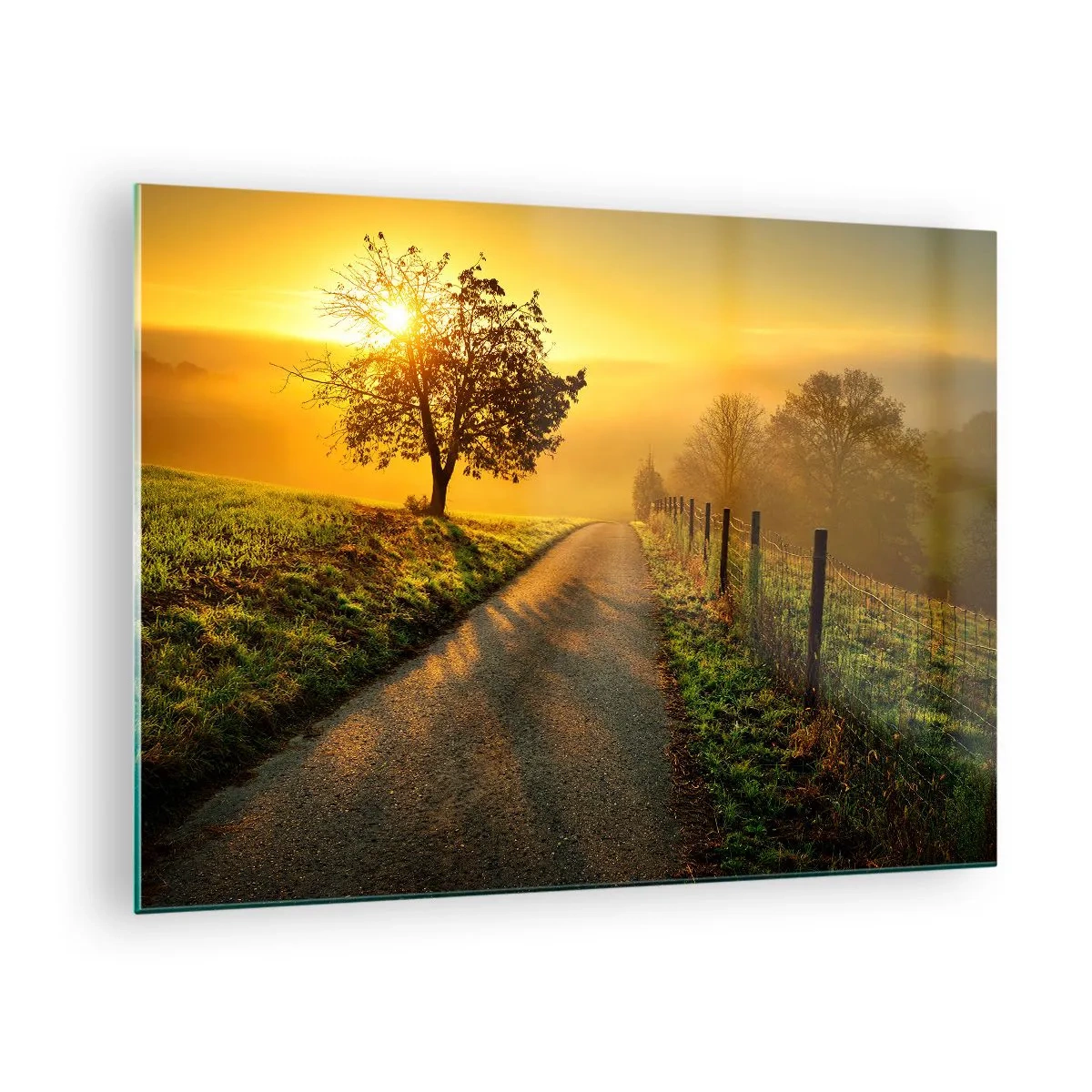 Glasbild - Bild auf glas - Eine Straße durch eine ländliche Landschaft bei Sonnenuntergang - 70x50cm - Honig-Nachmittag - Moderne Wanddekoration für Wohnzimmer und Schlafzimmer ARTTOR