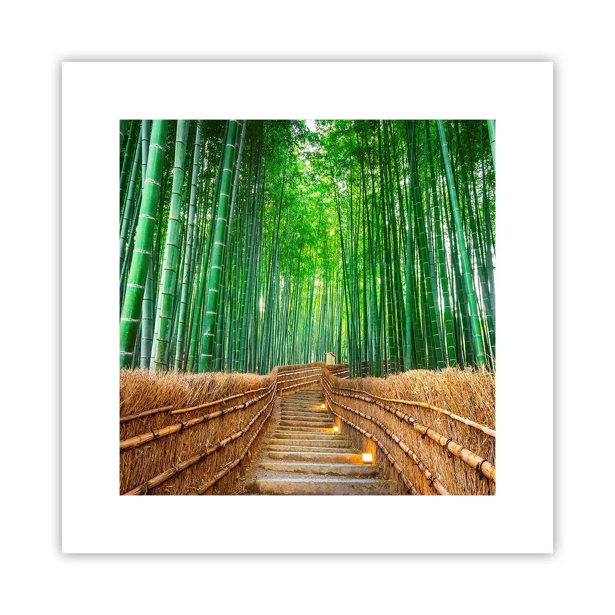 Poster - Die Essenz der asiatischen Natur - 30x30 cm