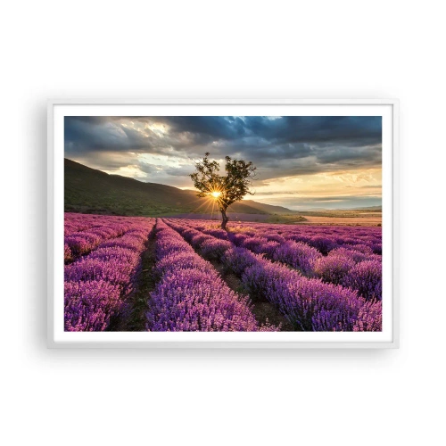 Poster in einem weißen Rahmen - Fliederfarbenes Aroma - 100x70 cm