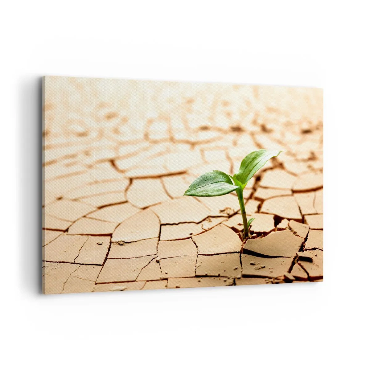 Bild auf Leinwand - Leinwandbild - Eine grüne Pflanze wächst aus trockener, rissiger Erde - 120x80cm - Die unbezähmbare Kraft des Lebens - Moderne Wanddekoration für Wohnzimmer und Schlafzimmer ARTTOR