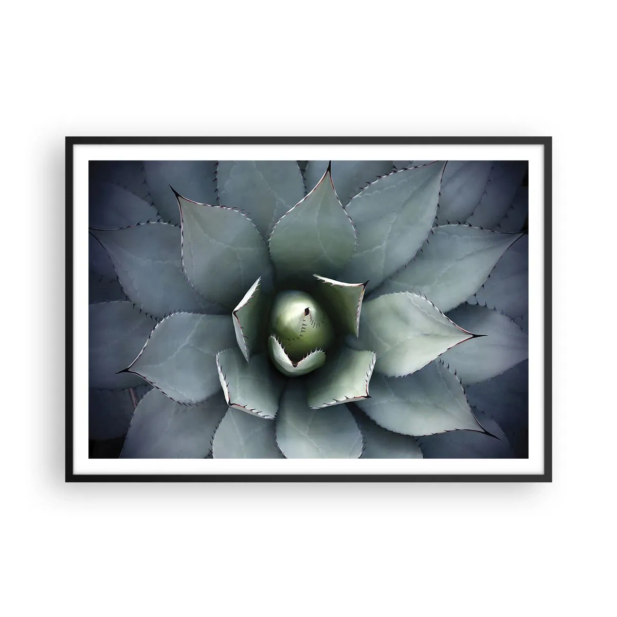 Poster in einem schwarzem Rahmen - Nahaufnahme einer Agavenrosette in zarten Grüntönen - 100x70cm - Es lockt an und warnt - Moderne Wanddekoration für Wohnzimmer und Schlafzimmer ARTTOR