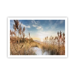 Poster - Nordstrand - 91x61 cm