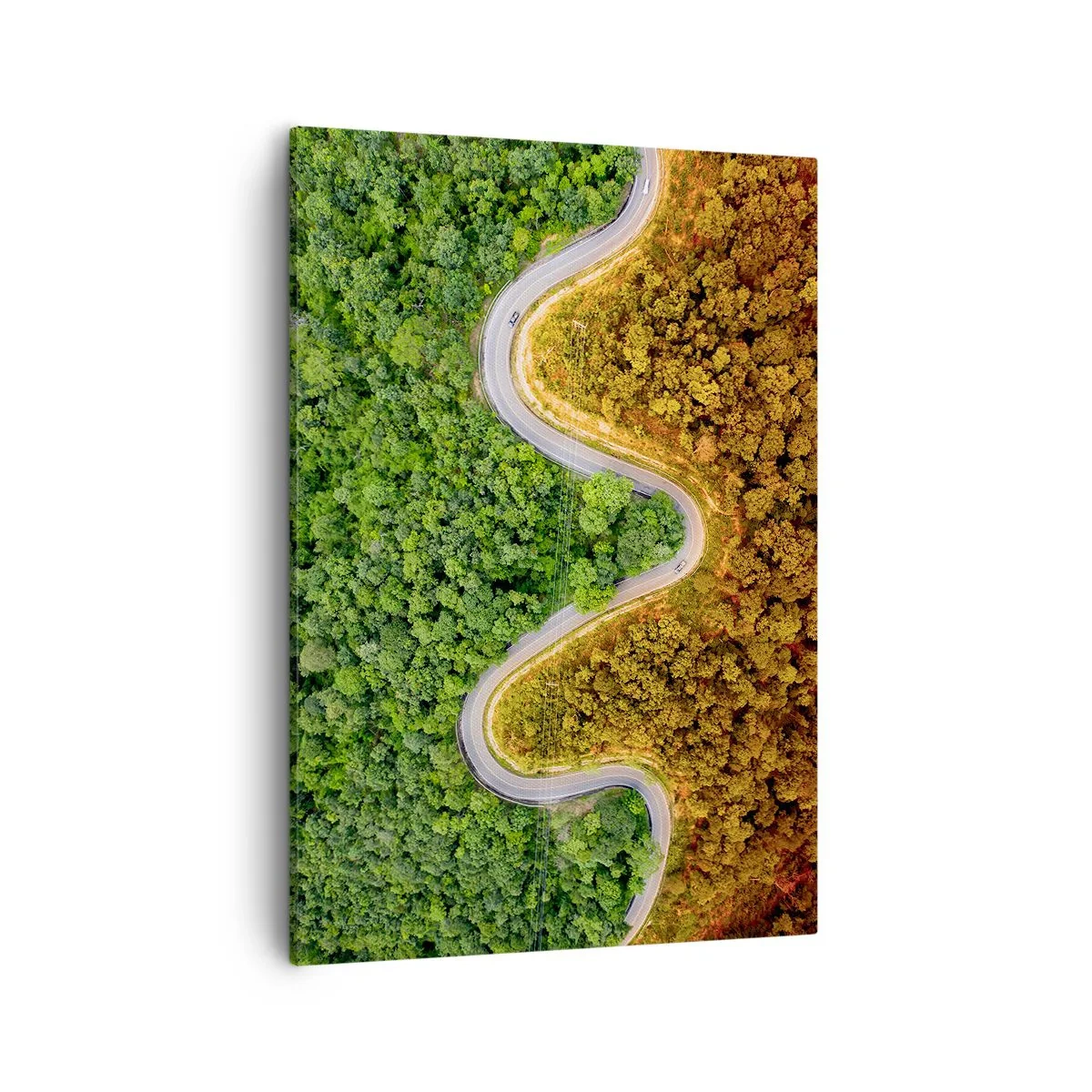 Bild auf Leinwand - Leinwandbild - Eine kurvenreiche Straße durch den Wald aus der Vogelperspektive gesehen - 50x70cm - Grenzen und Durchbrüche - Moderne Wanddekoration für Wohnzimmer und Schlafzimmer ARTTOR