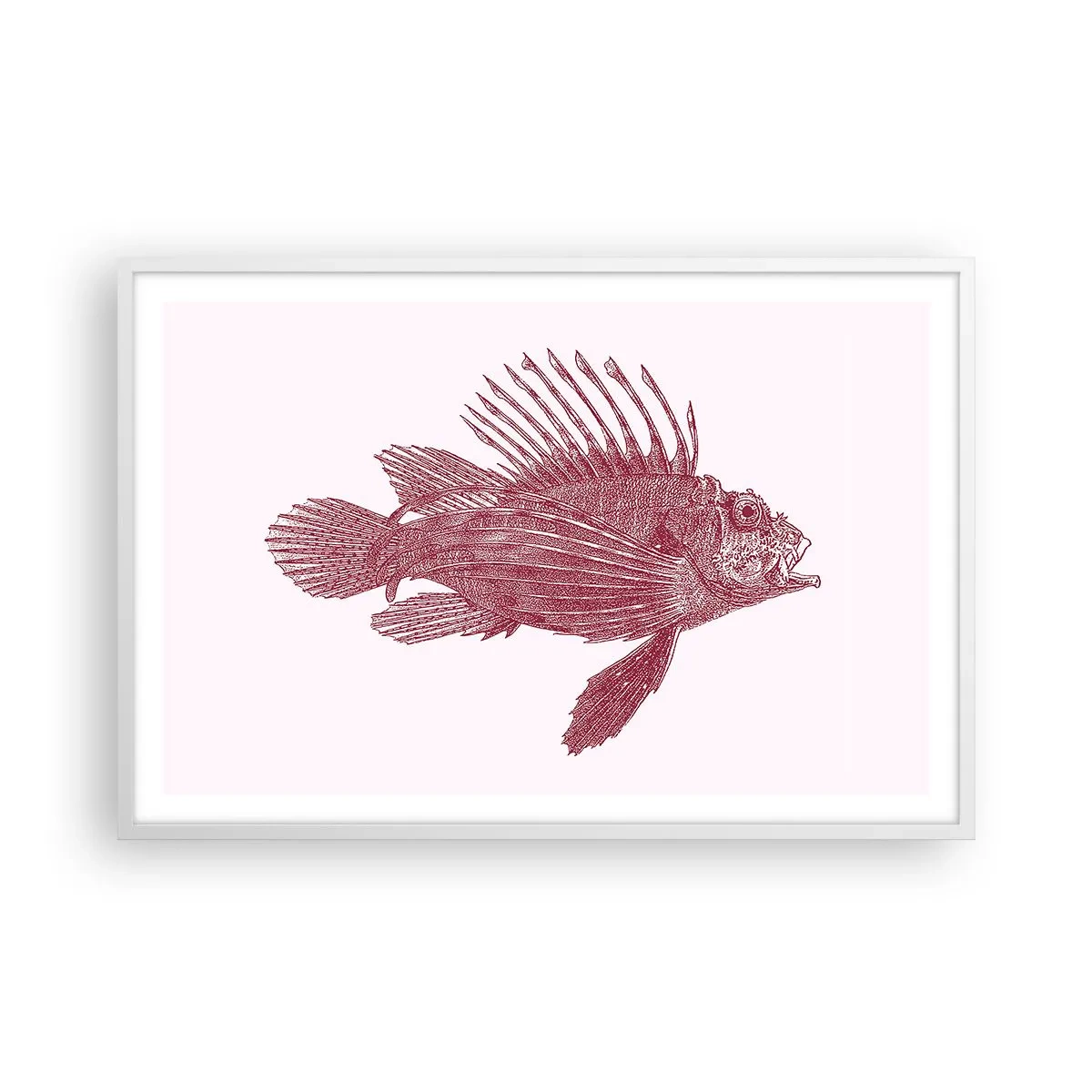 Poster in einem weißen Rahmen - Bewohner exotischer Gewässer - 91x61 cm