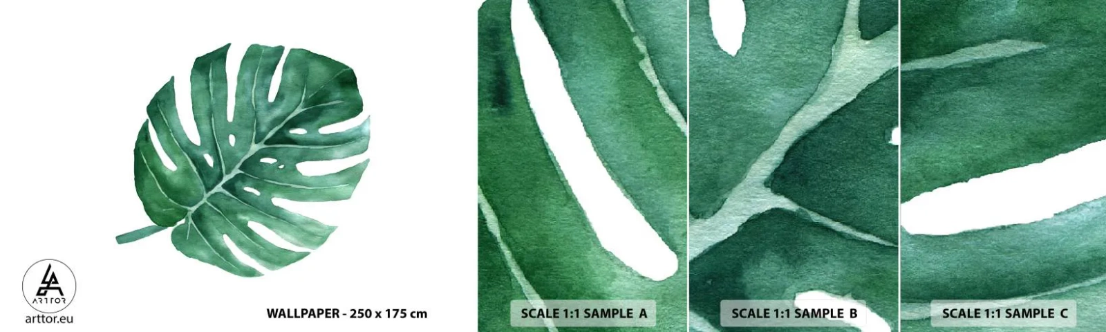 Fototapeten Muster Selbstklebend Deluxe Sticker - Grünes Konzept - Monstera, Blatt, Boho - 100x30 cm