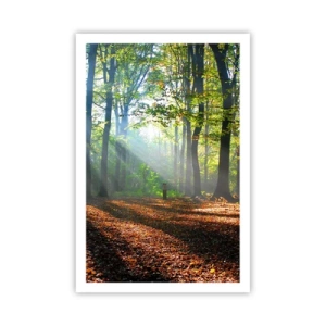 Poster - Licht und Schatten - 61x91 cm