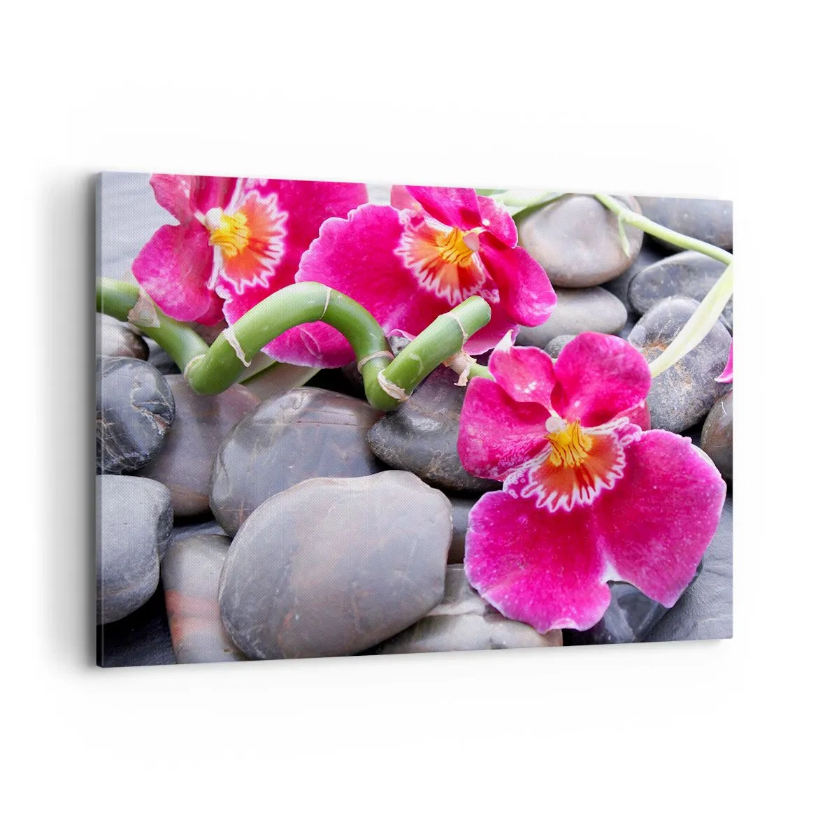Bild auf Leinwand - Leinwandbild - Rosa Orchideen vor einem Hintergrund aus glatten Steinen - 100x70cm - Kühlen und erhitzen - Moderne Wanddekoration für Wohnzimmer und Schlafzimmer ARTTOR