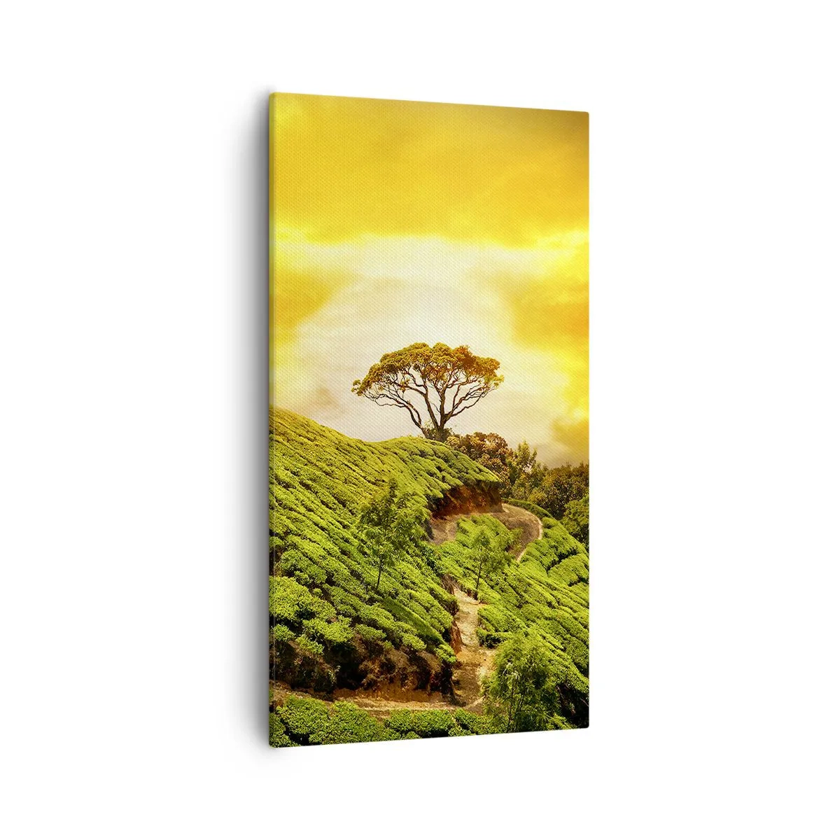 Bild auf Leinwand - Leinwandbild - Ein gewundener Weg, ein grüner Hang - 55x100 cm