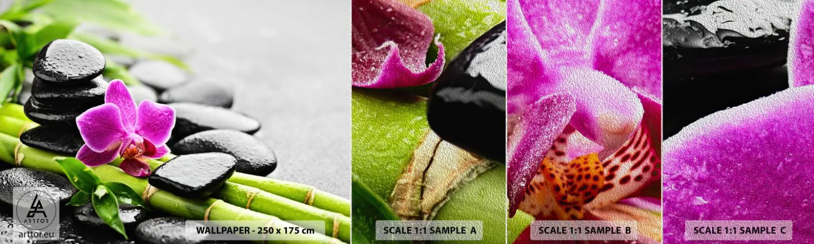 Fototapeten Muster Premium Sand - In ruhiger Balance - Blumen, Orchidee, Orchidee - 100x30 cm