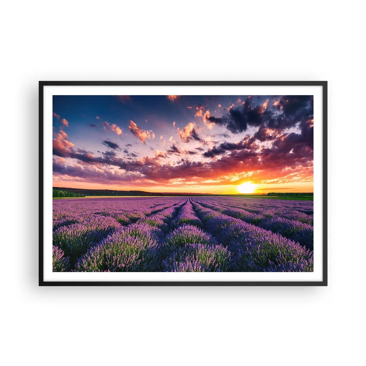 Poster in einem schwarzem Rahmen - Ein Lavendelfeld bei Sonnenuntergang mit einem farbenfrohen Himmel - 100x70cm - Lavendel Welt - Moderne Wanddekoration für Wohnzimmer und Schlafzimmer ARTTOR