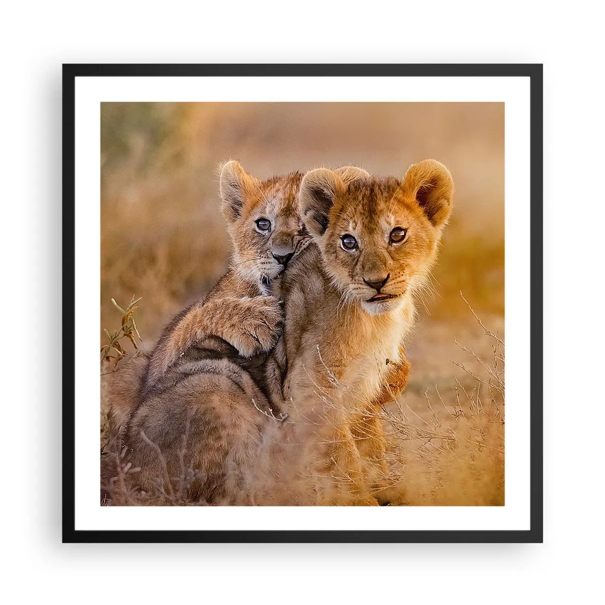 Poster in einem schwarzem Rahmen - Bitte nicht stören! Wir haben Spaß - 60x60 cm