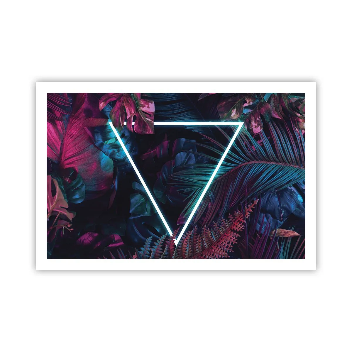 Poster - Garten im Disco-Stil - 91x61 cm