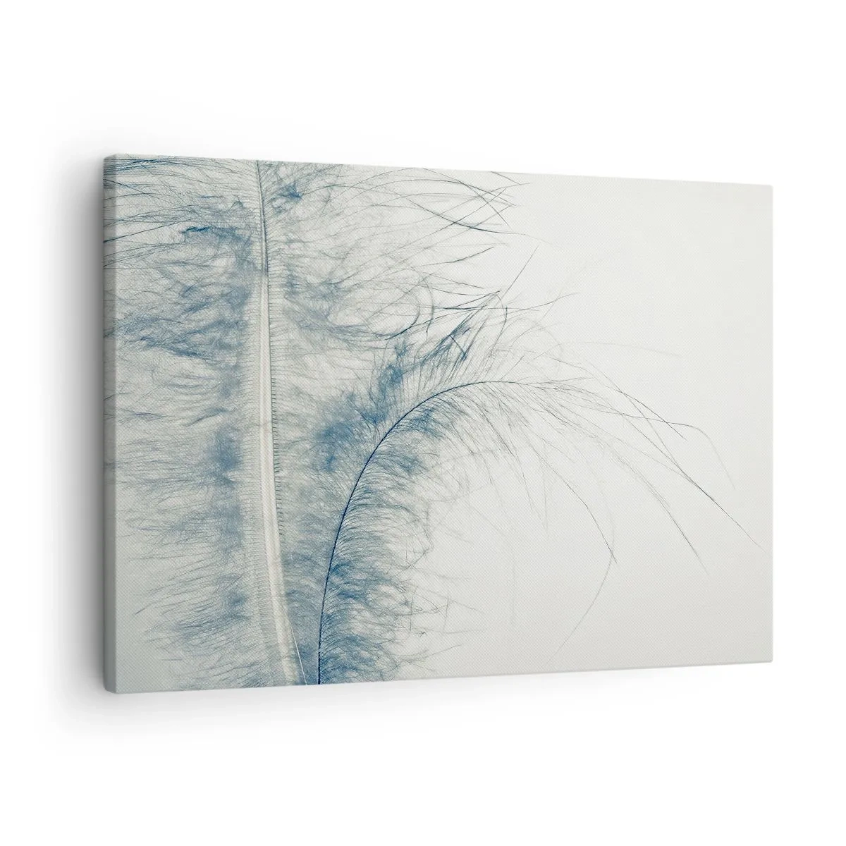 Bild auf Leinwand - Leinwandbild - Eine zarte Feder in Pastelltönen auf hellem Untergrund - 70x50cm - Flüstern der Natur - Moderne Wanddekoration für Wohnzimmer und Schlafzimmer ARTTOR