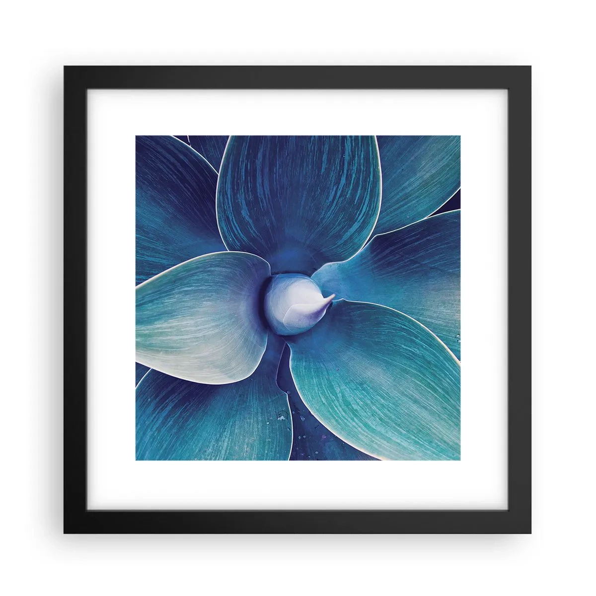 Poster in einem schwarzem Rahmen - Bläulich vom Himmel - 30x30 cm