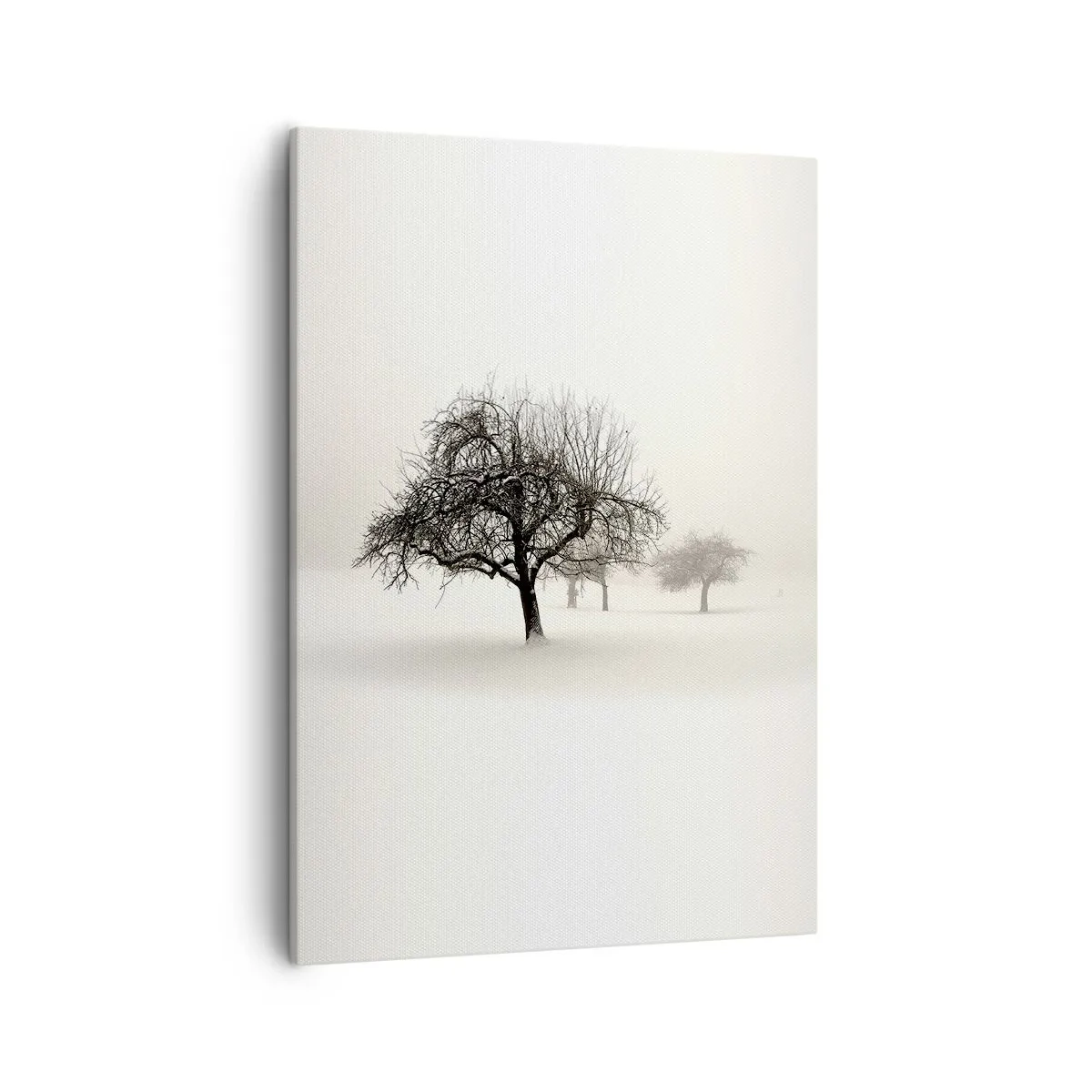 Bild auf Leinwand - Leinwandbild - Bäume auf einem schneebedeckten Feld, umgeben von Nebel - 50x70cm - Winterschlaf - Moderne Wanddekoration für Wohnzimmer und Schlafzimmer ARTTOR