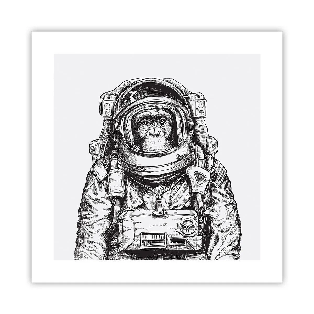 Poster - Alternative Evolution - 40x40 cm