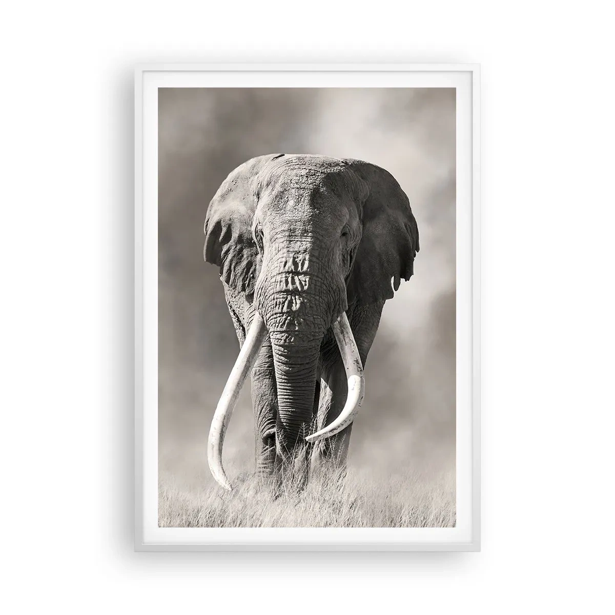 Poster in einem weißen Rahmen - Afrikanischer Patriarch - 70x100 cm