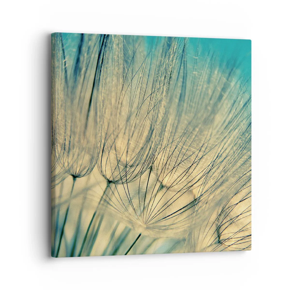 Bild auf Leinwand - Leinwandbild - In Erwartung des Windes - 30x30 cm