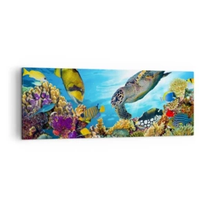 Bild auf Leinwand - Leinwandbild - Unterwasserwelt mit bunten Fischen und einer Schildkröte in den Korallen - 140x50cm - Korallenpromenade - Moderne Wanddekoration für Wohnzimmer und Schlafzimmer ARTTOR