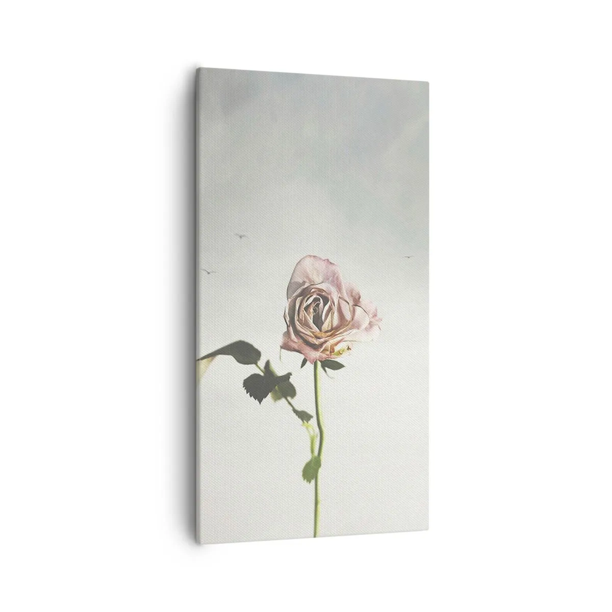 Bild auf Leinwand - Leinwandbild - Begrüßung des Frühlings - 55x100 cm