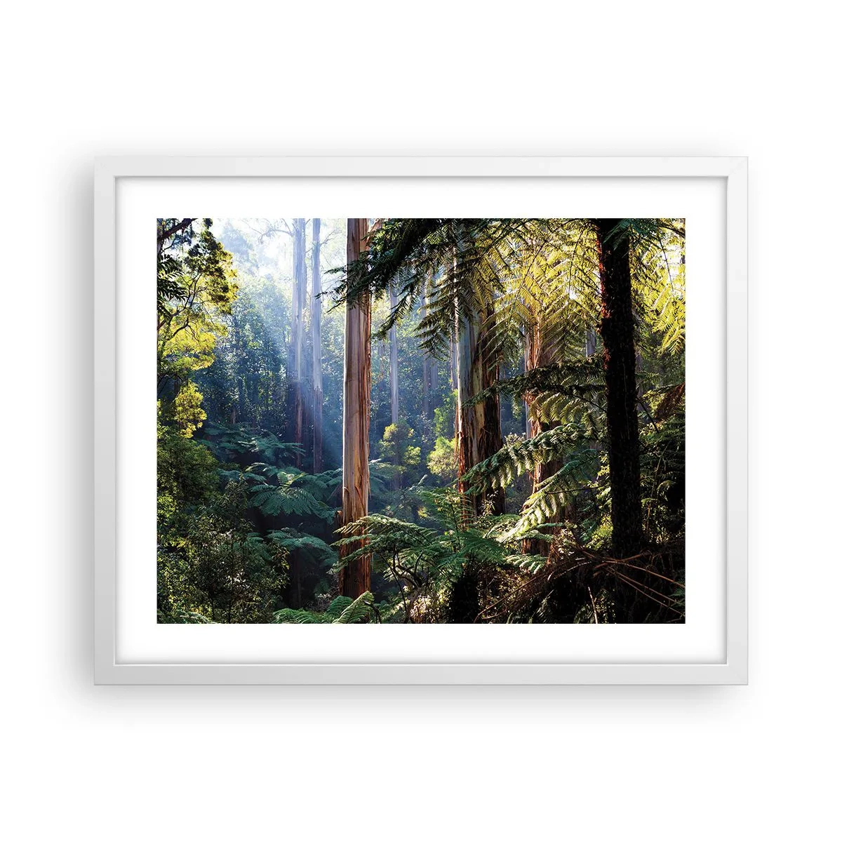 Poster in einem weißen Rahmen - Ein Waldmärchen - 50x40 cm