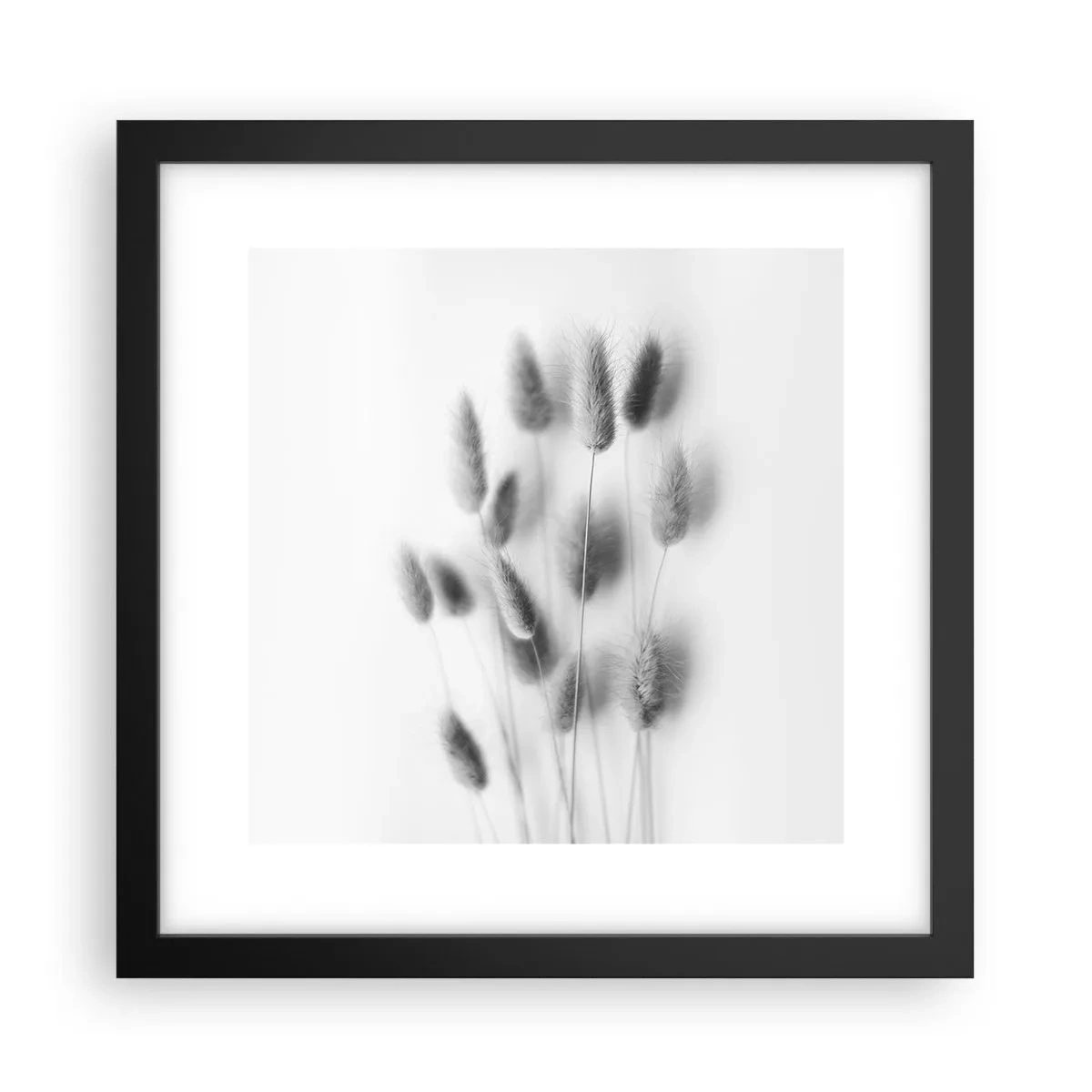 Poster in einem schwarzem Rahmen - Eure flauschige Grashoheit - 30x30 cm