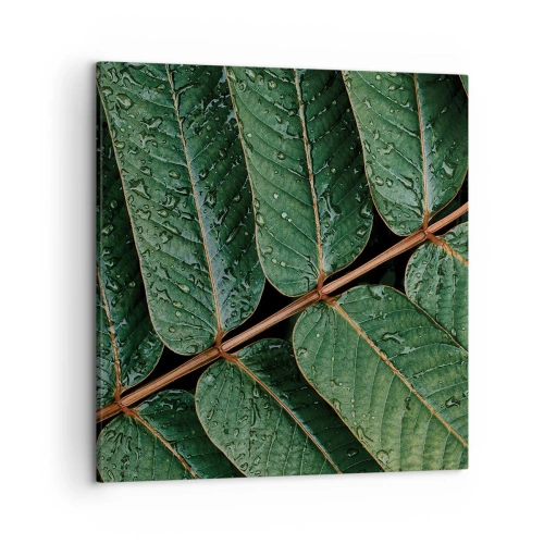 Bild auf Leinwand - Leinwandbild - Im grünen Rhythmus - 50x50 cm