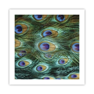 Poster - Ein Blick mit Pfauenaugen - 50x50 cm