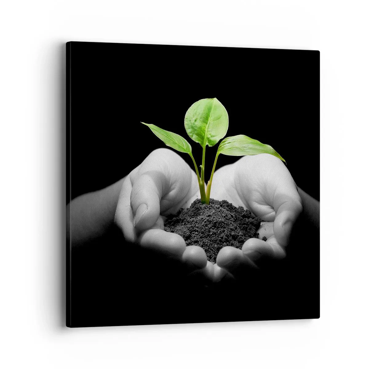 Bild auf Leinwand - Leinwandbild - Ich liebe die Natur, ich beschütze sie - 40x40 cm