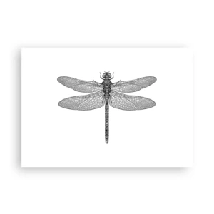 Poster - Schwarz-weiße Zeichnung einer Libelle auf weißem Hintergrund im minimalistischen Stil - 100x70cm - Präzision der Natur - Moderne Wanddekoration für Wohnzimmer und Schlafzimmer ARTTOR