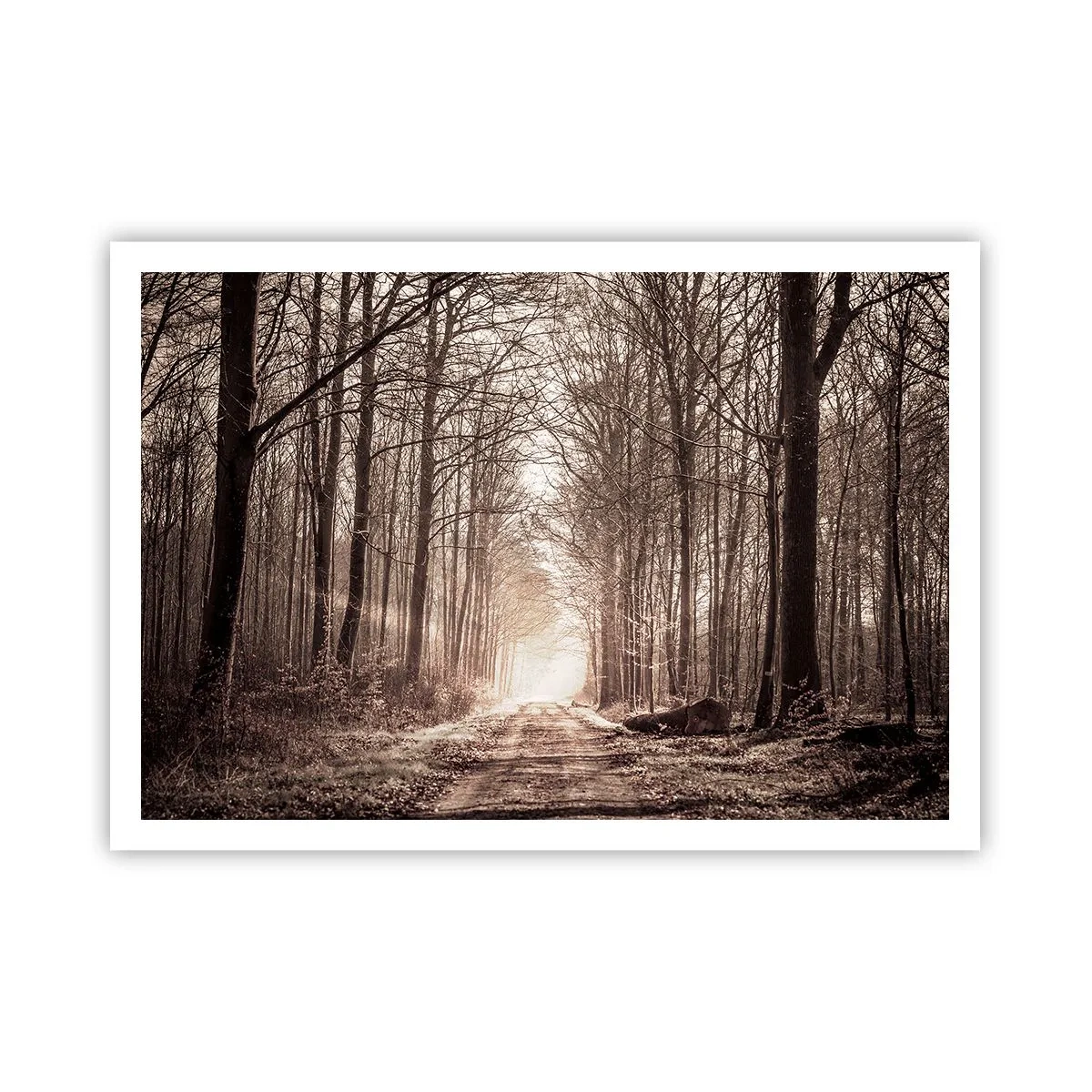Poster - Ein Waldweg zwischen sepiafarbenen Bäumen - 100x70cm - Waldkathedrale - Moderne Wanddekoration für Wohnzimmer und Schlafzimmer ARTTOR