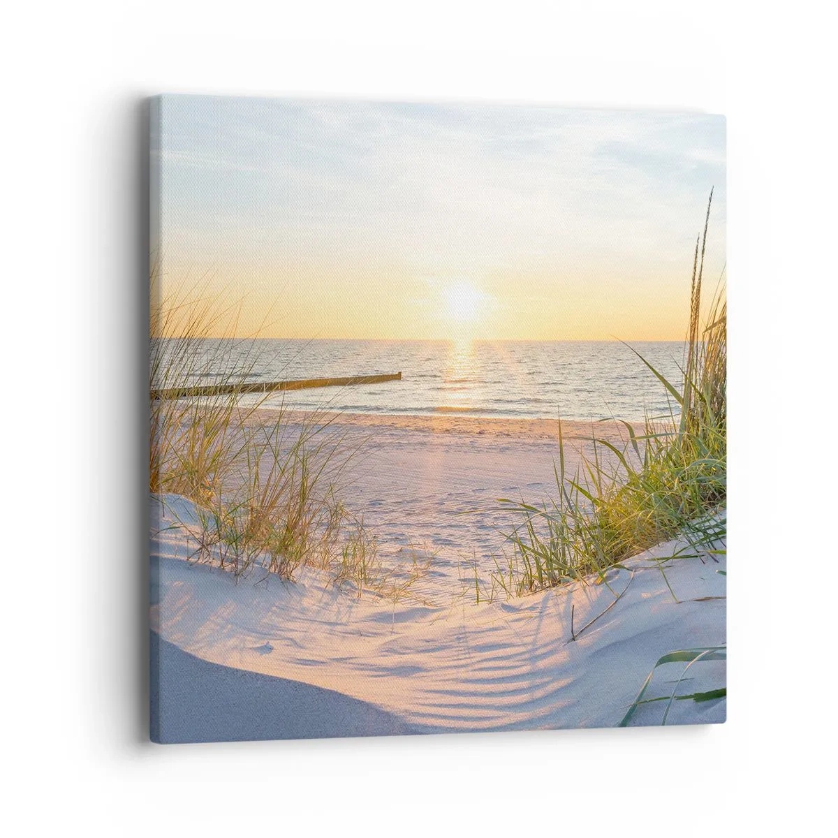 Bild auf Leinwand - Leinwandbild - Das Rauschen des Meeres, der Gesang der Vögel, ein wilder Strand im Gras ... - 40x40 cm