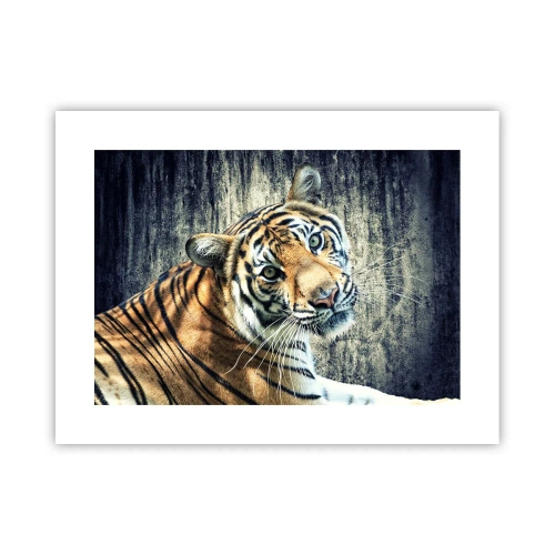 Poster - Portrait in Lichtstrahlen - 40x30 cm
