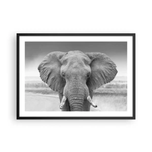 Poster in einem schwarzem Rahmen - Porträt eines Elefanten in Schwarz und Weiß - 70x50cm - Willkommen in meiner Welt - Moderne Wanddekoration für Wohnzimmer und Schlafzimmer ARTTOR