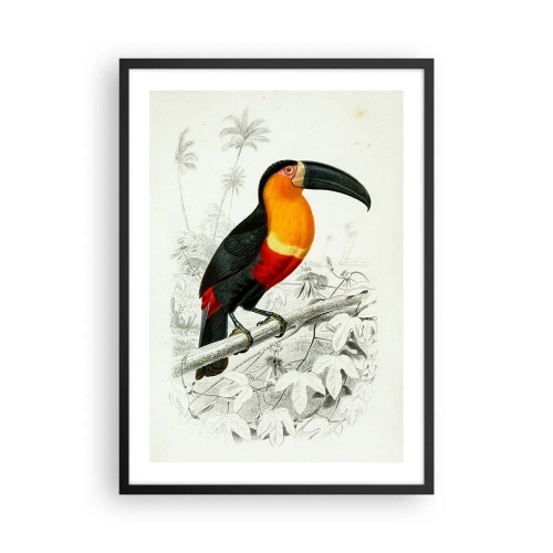 Poster in einem schwarzem Rahmen - Papageienporträt - 50x70cm - Vogelfarben - Moderne Wanddekoration für Wohnzimmer und Schlafzimmer ARTTOR